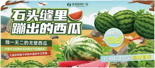 51热门大瓜今日大瓜最新,今日大瓜新鲜出炉，揭秘娱乐圈最新热点！