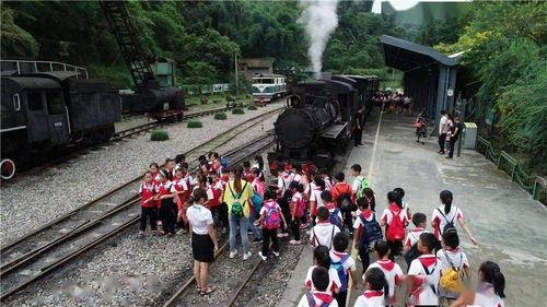 网红大秋千 热点黑料免费网站,热点黑料免费网站背后的真相