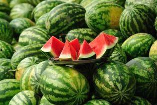 韩国体育圈 网红大瓜图片